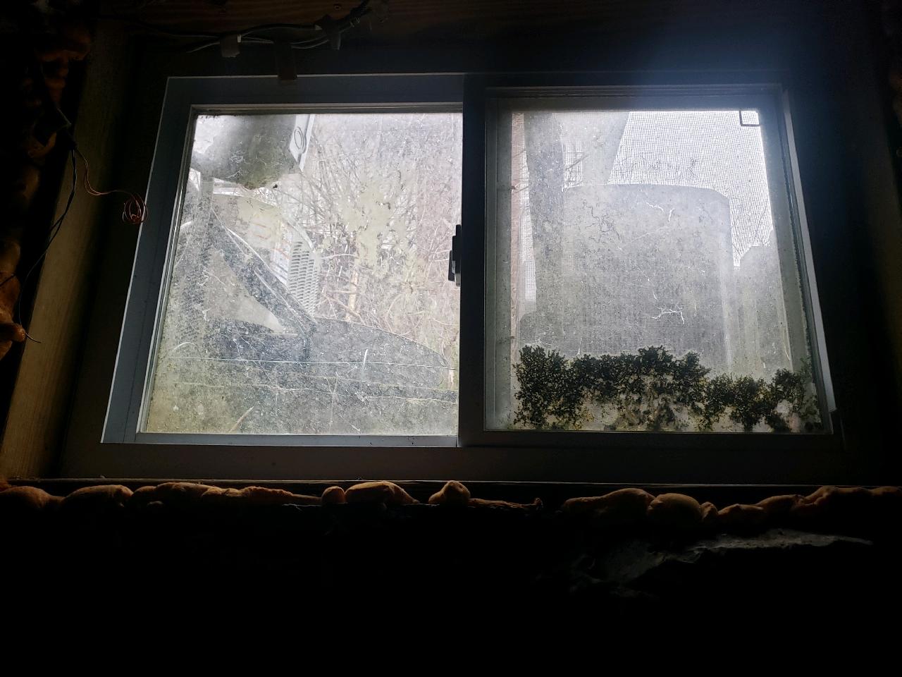 Window Cleaning - Basement Window (Before)
